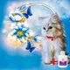 Алмазная мозаика на подрамнике ColorArt Котик с цветами 20х20 DDP1216 + Подарок лак для покрытия - изображение 1