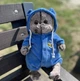Мягкий кот "Сонечко" Басик в синей одежке 33см 875433-753 - изображение 5