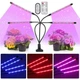 Светодиодная Фитолампа GrowLight для Выращивания Комнатных на 4 ветки Растение Full Spectrum (OJ146IU) - изображение 1