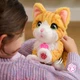 Кошечка Белла - интерактивный пушистый друг - изображение 6