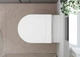 Унитаз подвесной Hansgrohe EluPura S 62025450 540 AquaHelix Flush HygieneEffect c Slim сиденьем Soft Close QuickRelease дюропласт - изображение 9