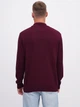 Гольф-водолазка мужская EQUILIBRI M342 004 000-3871 S Bordo (2299965884604) - изображение 2
