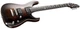 Електрогітара ESP E-II Horizon FM NT Dark Brown Sunburst (Horizon FM NT DBSB) - зображення 2