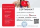 Аптечка медична автомобільна Poputchik Євростандарт згідно ТУ First Aid Kit м'який футляр (02-005-М) - зображення 7
