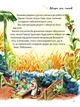 Велика книжка про пори року. - Анна Казаліс. - 9789669821935 - изображение 12