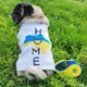Поводок-рулетка для собак WAUDOG R-leash, рисунок "Colors of freedom", светоотражающая лента, размер S, до 15 кг, 5 м (381-4020) - изображение 12