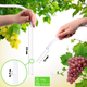 Zestaw winiarski Kadax Balon 54 l + Korek + Rurka + Ściągacz (5903699487211) - obraz 4