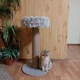 Кошачья когтеточка столбик с мягкой лежанкой травкой для кошки котят 64см бежевая - изображение 4