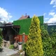 Зелений паркан Штучний зелений паркан. Штучна зелена сітка 0,5х5м - зображення 2