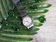 Жіночий годинник Casio MQ-24S-8BEF - зображення 4