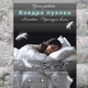 Кассетное пуховое одеяло Sonya Tex Paris, ЕВРО, 200х220 см, ST-0000003 - изображение 6