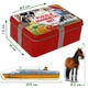 Набор магнитных пазлов "Pazzle Magnetic set" Железная коробка 54 элемента Magdum Украина (ML4031-62 EN) - изображение 5
