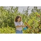 Плодозйомник для ягід Gardena Combisystem BerryPicker (17400-20.000.00) - зображення 2