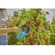 Плодозйомник для ягід Gardena Combisystem BerryPicker (17400-20.000.00) - зображення 3