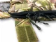 Широкий спальний мішок, колір очерет, спальник ковдра100см, -30/-10 - зображення 4