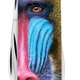 Швейцарський складаний ніж 91мм Victorinox TINKER ANIMAL 1.4603.3.F1070pw - зображення 5