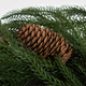 Вінок Homla Larch з червоними аксесуарами Ø 35 см (5906496715242) - зображення 5