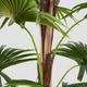 Штучна рослина Homla Tropical Zone пальма 150 cм (5906496740626) - зображення 4