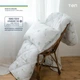 Одеяло всесезонное евро 200х210 белое с бамбуковым волокном Bamboo Dream Collection ТЕП 1-00764 - изображение 8