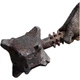 Статуэтка LORD OF THE RINGS The Cave Troll of Moria (Властелин колец Троль из Мории) 62 см (860102984) - изображение 10