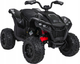 Quad elektryczny dla dzieci Ramiz Fast Wheel Czarny (5903864983418) - obraz 1