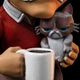 Фигурка MARVEL Stan Lee with Grumpy Cat - Pow! MiniCo (Стэн Ли) 14 см - изображение 4