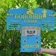 Медальниця бойовий гопак без полиці з дипломницею 60х55 см Еко Стиль (МЕД-032) - изображение 2