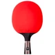 Ракетка для настольного тенниса Butterfly Timo Boll Specialist FL (6110400002) - изображение 1