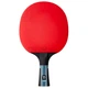 Ракетка для настольного тенниса Butterfly Timo Boll Progress FL (6110200002) - изображение 1