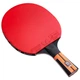 Ракетка для настольного тенниса Butterfly Timo Boll Comfort FL (6110170005) - изображение 6