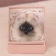 Брелок подвеска Кот Кошка мягкая на сумку (27754) - изображение 7
