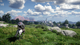 Гра PC Crimson Desert Day One Edition (Електронний ключ) (4020628551001) - зображення 6
