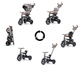 Rowerek trójkołowy Qplay Rito Deluxe Grey (5061047480281) - obraz 9