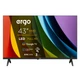 Телевизор Ergo 43JFS6800 (m482179) - изображение 1