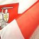 Флаг Погоня бело-красно-белый 120х80 см - изображение 3