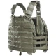 Жилет разгрузочный Tasmanian Tiger Plate Carrier Mkiv IRR (1033-TT 7072.332-2) - изображение 2
