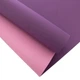Килимок для фітнесу та йоги двошаровий TPE+TC SP-Planeta Sport Top Fit 3046-10 6мм фіолетовий-рожевий - зображення 3