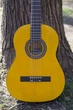 Гитара классическая 4\4 Stagg C440 M NT - изображение 10