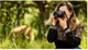 Фикс-объективы Canon RF 85mm f/2 Macro IS STM (4234C005) - изображение 4