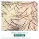 Пре-шампунь Biolage Professional Scalp Sync для очищения всех типов кожи головы и волос 200 мл (884486530936) - изображение 8
