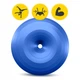 М'яч для фітнесу (пончик) 4FIZJO Air Ball Donut 50 x 27 см Anti-Burst Blue (P-5907739312969) - зображення 5