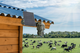 IP-камера Technaxx 4G PT Dome TX-290 with solar panel (4260358126463) - зображення 8