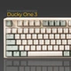 Клавиатура Ducky One 3 Cherry MX Speed Silver UA USB Matcha Cream (DKON2108-PUAPXMAEGGC1) - изображение 3