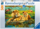 Puzzle Ravensburger Dzika przyroda 500 elementów 12000220 (4005555002208) - obraz 1