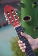 Гитара классическая 4/4 Almira CG-1702 SB (Чехол, Копилка, Медиатор, Ключ, Струна) - изображение 7