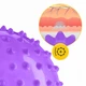 М'яч для пілатесу, йоги, реабілітації 4FIZJO 20 см (масажний) Violet (P-5905973406086) - зображення 3