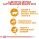 Вологий корм для дорослих котів ROYAL CANIN Роял канін HAIR & SKIN IN JELLY 0.085 кг 12шт. - изображение 7