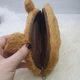 М'який пенал, капібара, 20 см, коричневий - изображение 2