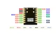 Плата разработки ESP32 SuperMini, плата разработки WiFi Bluetooth, 5В, без припаянных контактов - изображение 13