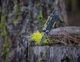 Мультиінструмент Leatherman Signal Gray картонна коробка - изображение 2